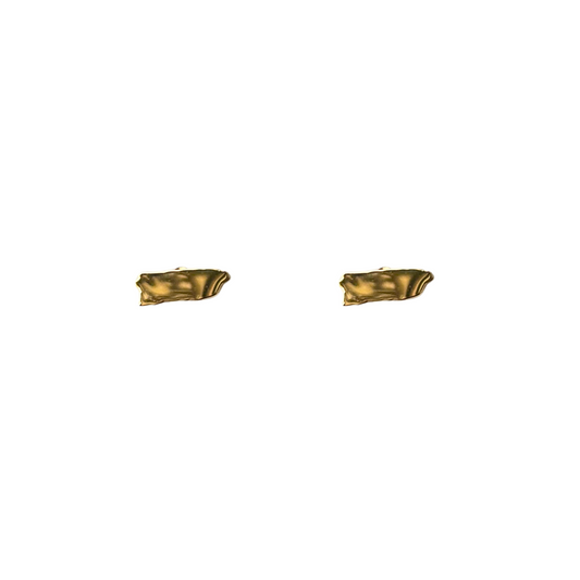 Puerto Rico Earring Studs | Pantallas
