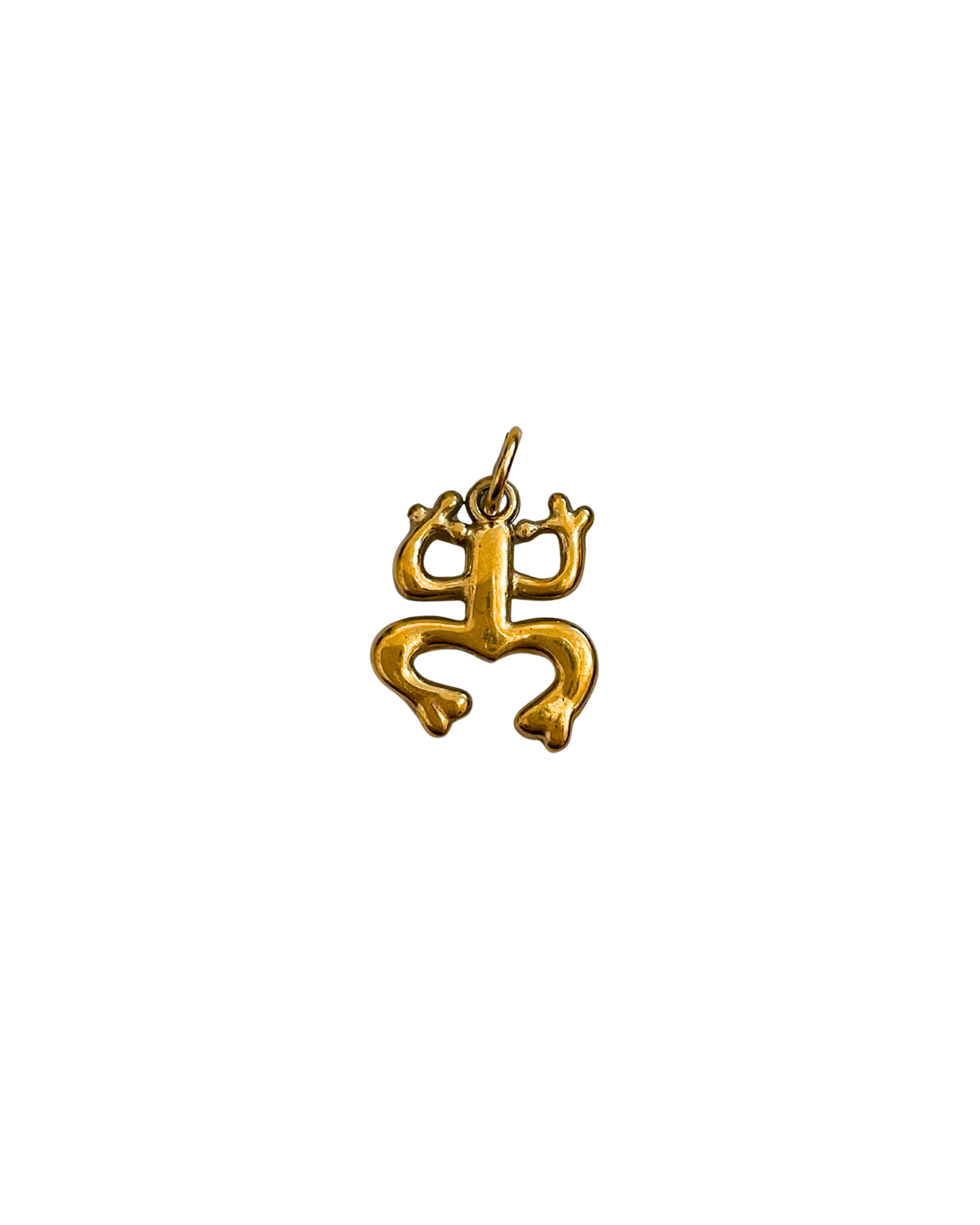 Coquí Taíno Charm