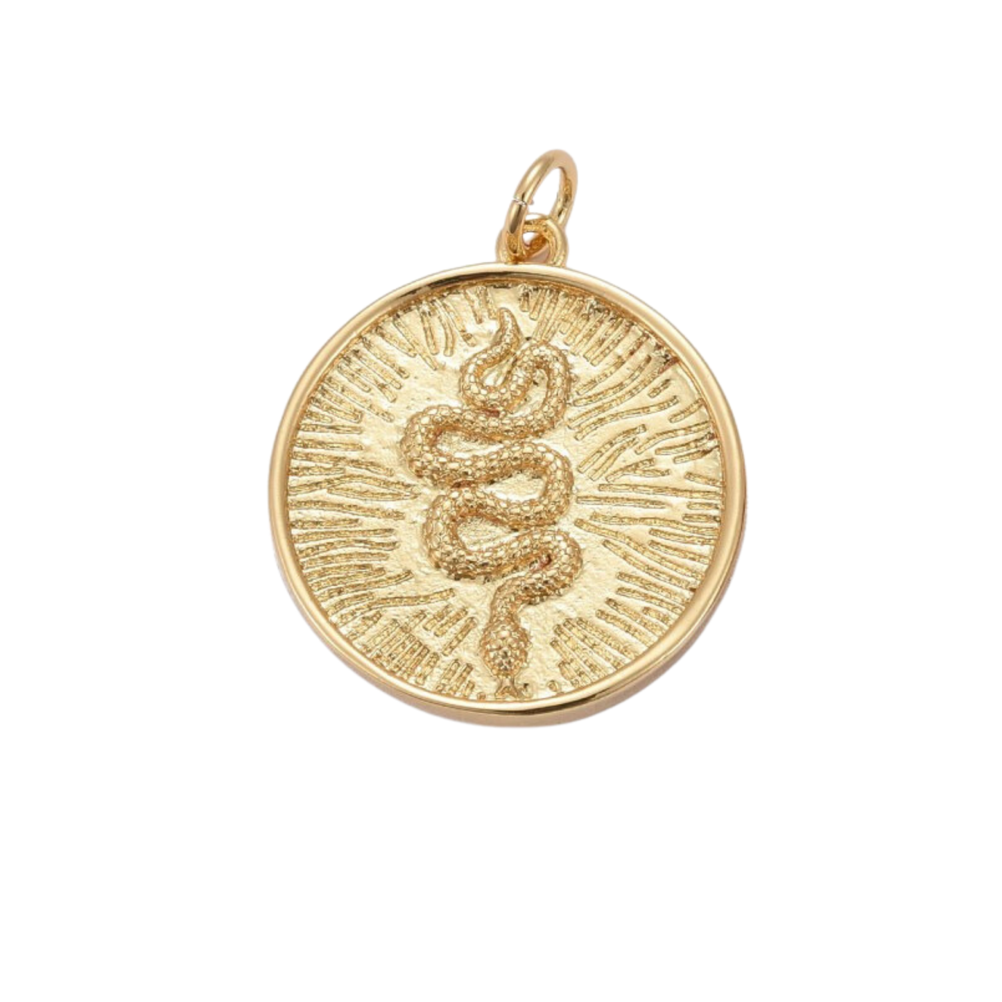 Snake Medallion Charm